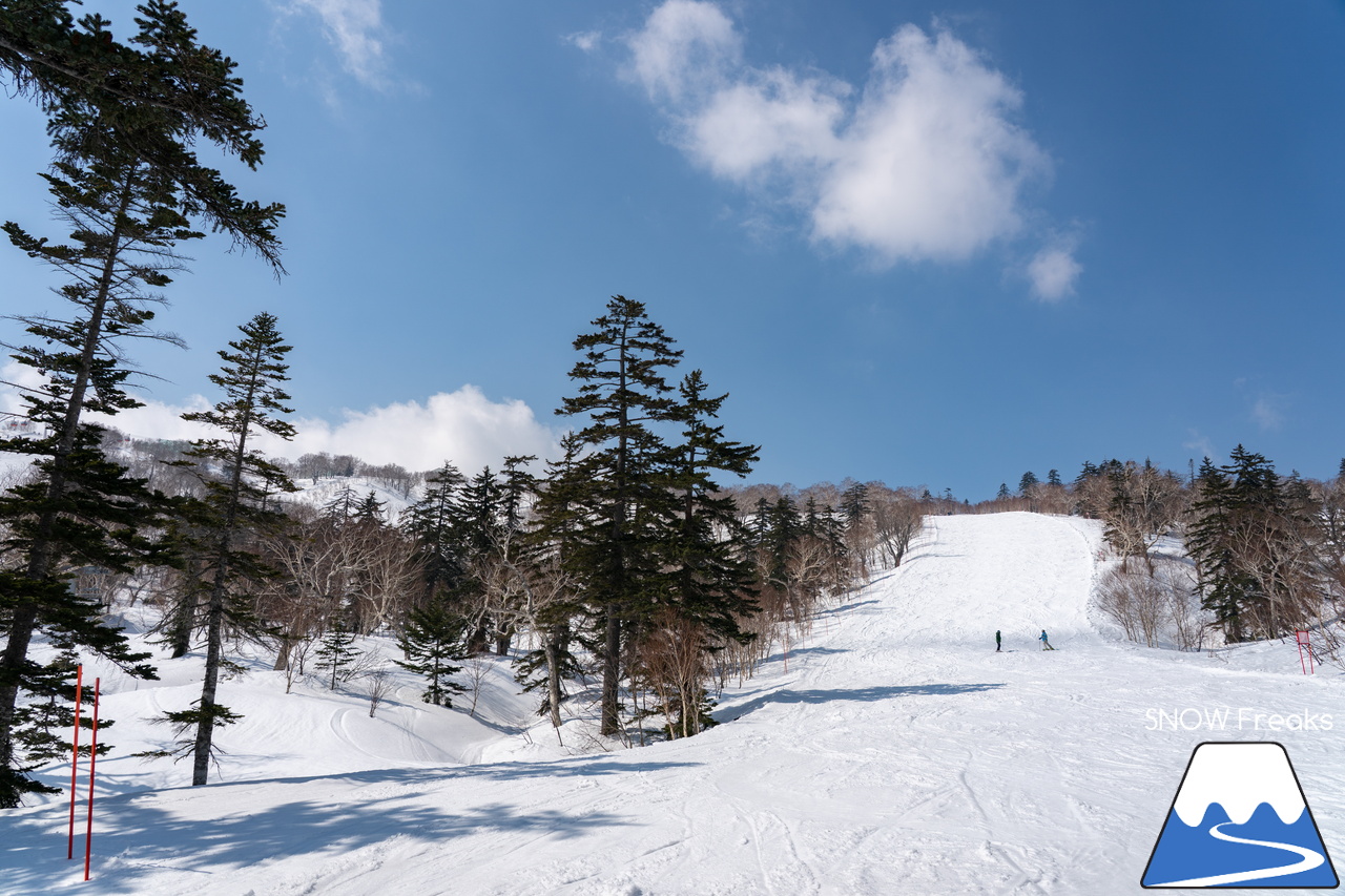 札幌国際スキー場｜さすが『KOKUSAI』！春シーズンも安泰の豊富な積雪で、まだまだ余裕で全面滑走可能です(^^)v